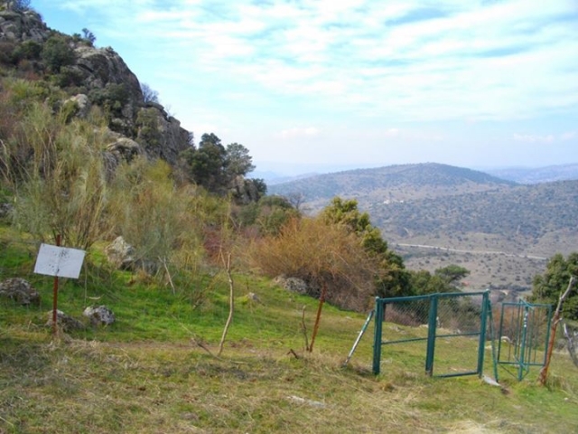  leaving from the center 